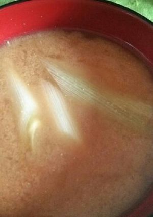 ネギの味噌汁-レシピのメイン写真