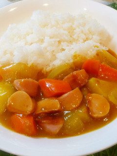 家計助かる!懐かし魚ニソカレー♪ルー不要-レシピのメイン写真