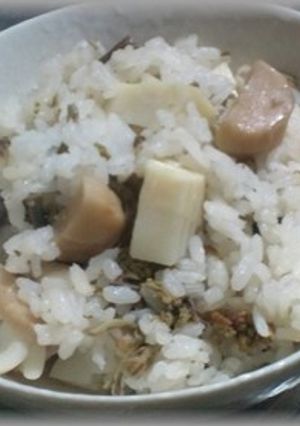タケノコ・こわらび炊き込みご飯-レシピのメイン写真