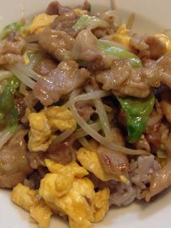 豚玉丼☆冷蔵庫の残り物で大阪王将風〜-レシピのメイン写真