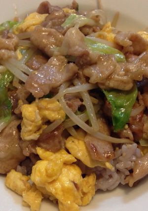 豚玉丼☆冷蔵庫の残り物で大阪王将風〜-レシピのメイン写真