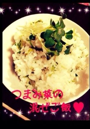 超簡単！❁つまみ菜の混ぜご飯❁-レシピのメイン写真
