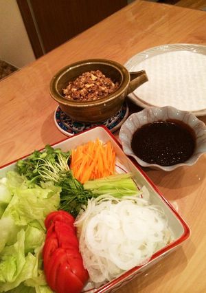 豆腐でかさ上げ！挽き肉の生春巻きパーティ-レシピのメイン写真