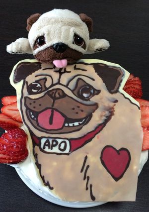 宇宙兄弟アポのデコレーションいちごケーキ-レシピのメイン写真