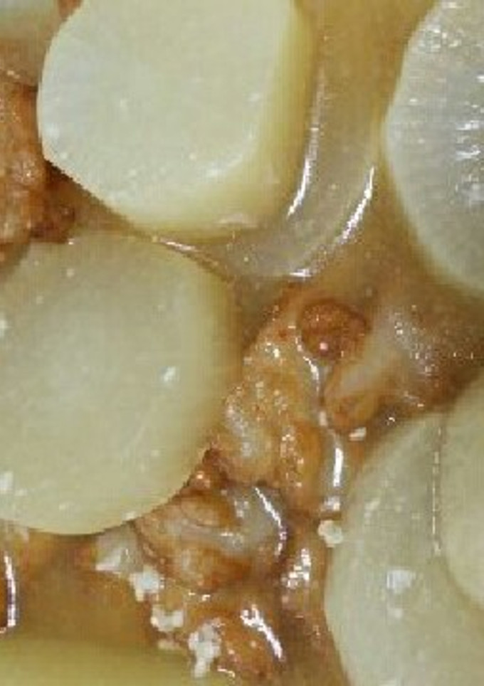 大根の煮物 塩麹-レシピのメイン写真