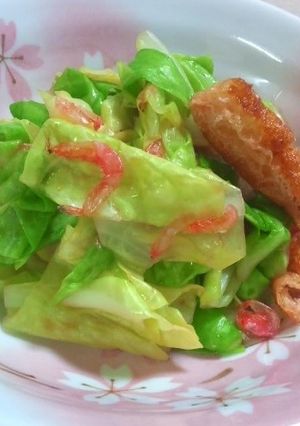 春キャベツと小エビのお浸し-レシピのメイン写真