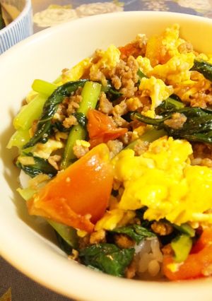 赤黄緑の♪ トマ・タマ・ほうれん草丼-レシピのメイン写真