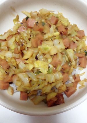 魚肉ハンバーグとキャベツのどんぶり-レシピのメイン写真