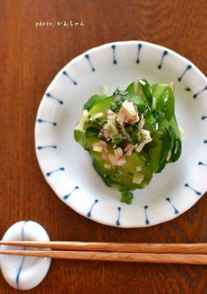 薬味入りきゅうりの即席漬け【作りおき】-レシピのメイン写真