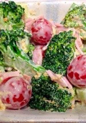 デパ地下風 ブロッコリーとトマトのサラダ-レシピのメイン写真