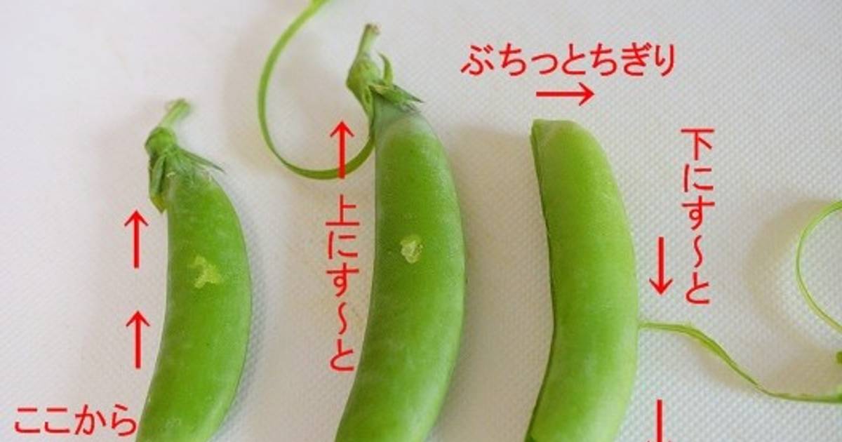 スジの取り方 – スジ取り 包丁 _ スジの取り方 について掘り下げる – SIGV