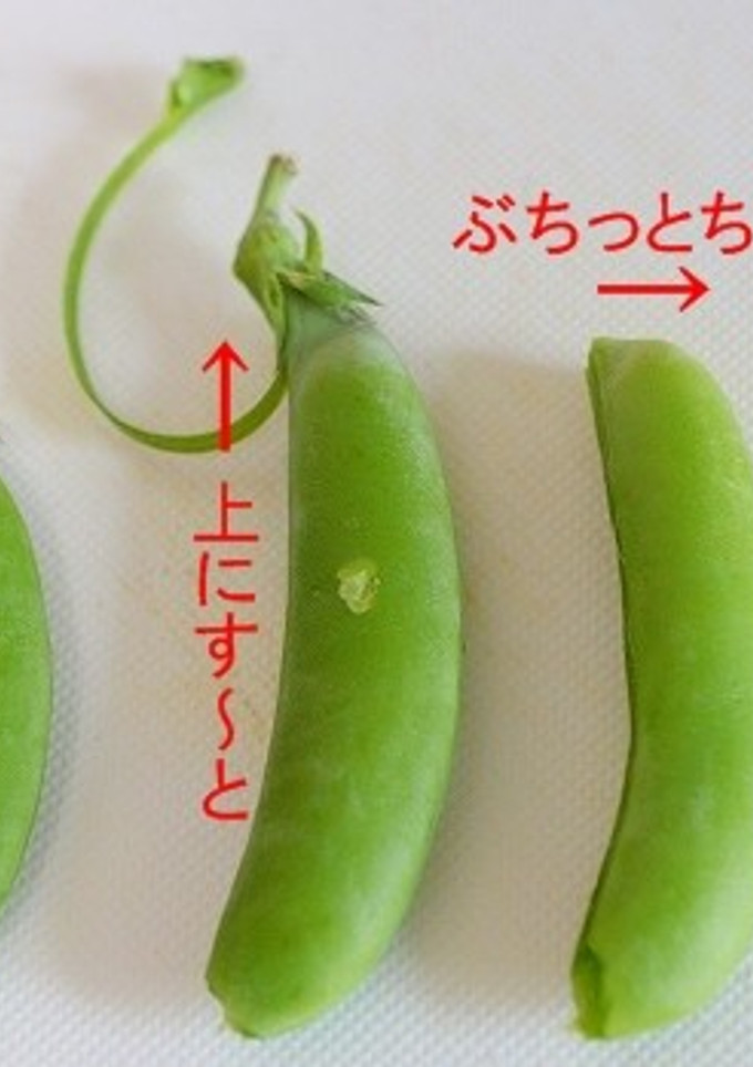 簡単！今更聞けないえんどうのスジの取り方-レシピのメイン写真