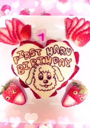 一歳 誕生日 ケーキ ワンワン-レシピのメイン写真