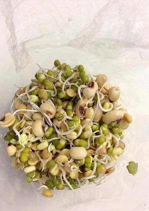 発芽豆-レシピのメイン写真