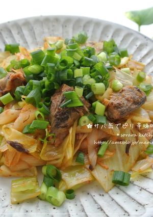 メイン！鯖とキャベツのピリ辛味噌炒め＊-レシピのメイン写真