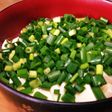 あんかけ豆腐♡ねぎだくで。
