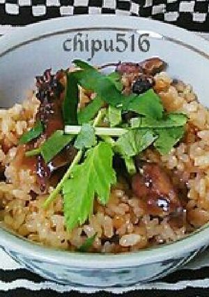 改訂版！旬のホタルイカの炊き込みご飯-レシピのメイン写真