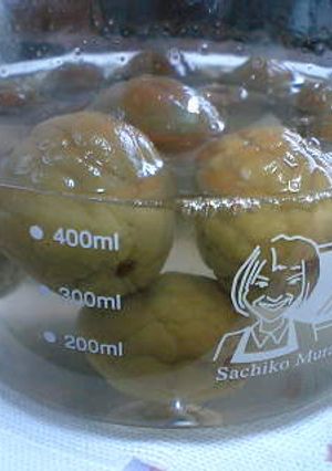 ♪♪２日でできる梅シロップ♪♪-レシピのメイン写真