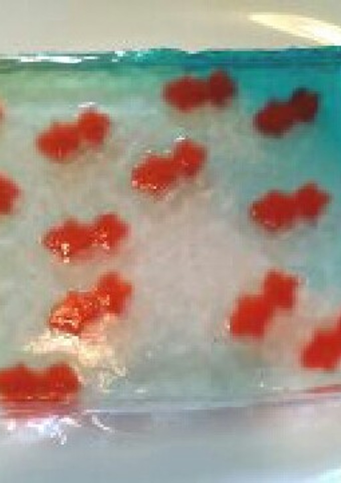 ♪簡単♪夏菓子 金魚・錦玉羹-レシピのメイン写真