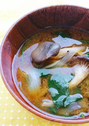 霜降りひらたけと青菜のお味噌汁-レシピのメイン写真