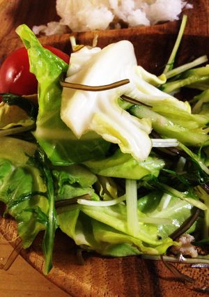 粉末のうどんだし消費に！サラダ？浅漬け？-レシピのメイン写真