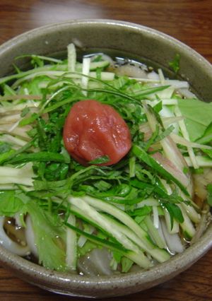さっぱりあったかうどん（冷麺でも最高！）-レシピのメイン写真
