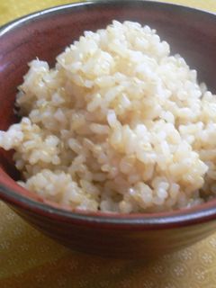 圧力鍋で炊く玄米ご飯-レシピのメイン写真