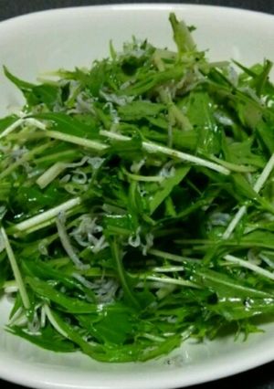 水菜とちりめんじゃこの簡単サラダ-レシピのメイン写真