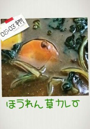 和風ﾎｳﾚﾝ草カレー-レシピのメイン写真