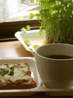 かんたん☆納豆ピザ-レシピのメイン写真