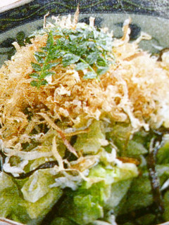 春きゃべつと塩昆布のお浸し-レシピのメイン写真