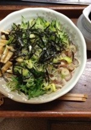 薬味たっぷり乗っけもり蕎麦-レシピのメイン写真