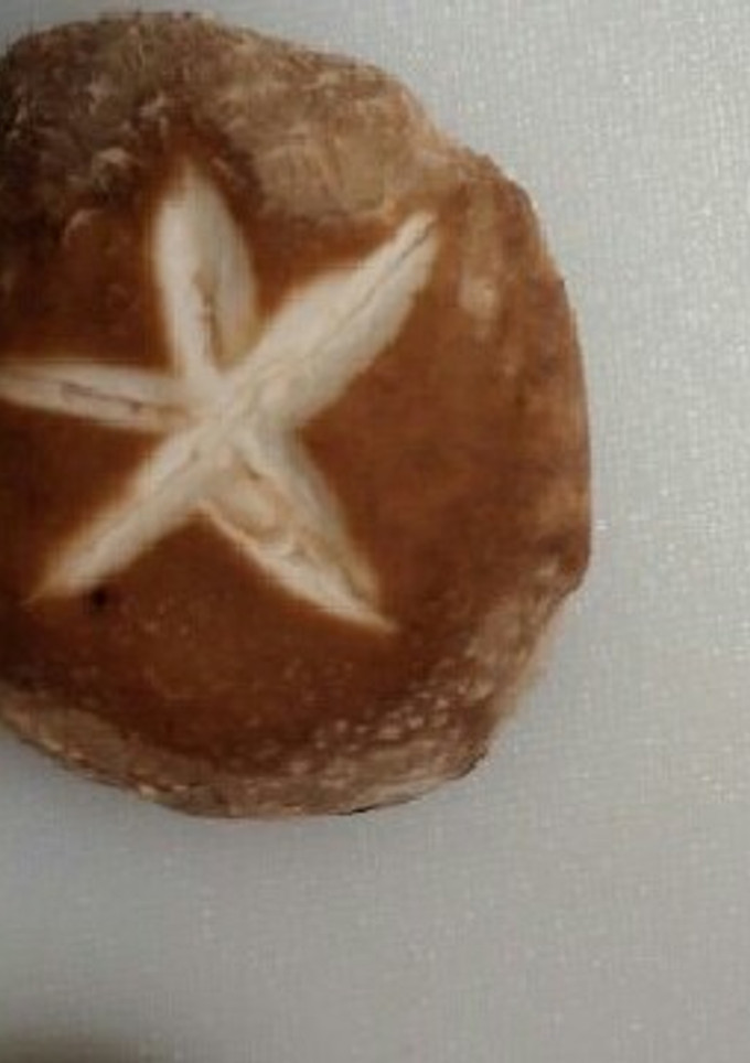 椎茸の飾り切り-レシピのメイン写真