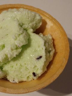 ミキサーで混ぜるだけ チョコミントアイス-レシピのメイン写真