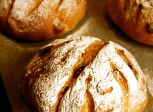 ✿クランベリーと胡桃の全粒粉パン✿-レシピのメイン写真