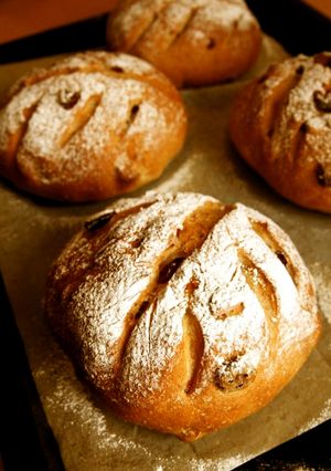 ✿クランベリーと胡桃の全粒粉パン✿-レシピのメイン写真