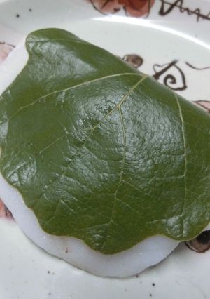 柏餅に♪柏の葉の下処理-レシピのメイン写真