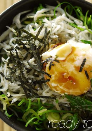 シラス丼♬ねぎたっぷり☆再現レエシピ-レシピのメイン写真