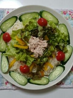 サラダそうめん-レシピのメイン写真