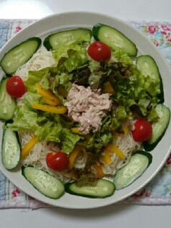 サラダそうめん-レシピのメイン写真