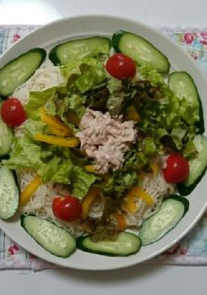 サラダそうめん-レシピのメイン写真