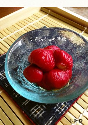 簡単！お弁当にもラディッシュの漬物-レシピのメイン写真