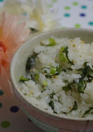 我が家の菜飯♪簡単混ぜるだけ＾＾-レシピのメイン写真