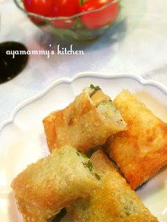 サクサク☆豚ひき肉ともやしの春巻き-レシピのメイン写真