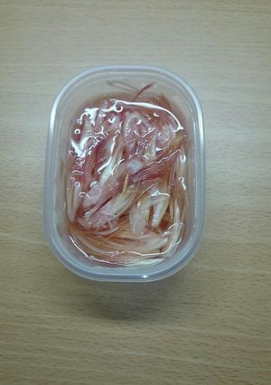 茗荷の甘酢漬け-レシピのメイン写真