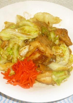 パパの鶏キャベツ-レシピのメイン写真