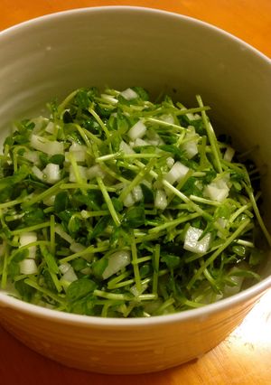 大根と豆苗の塩麹サラダ-レシピのメイン写真