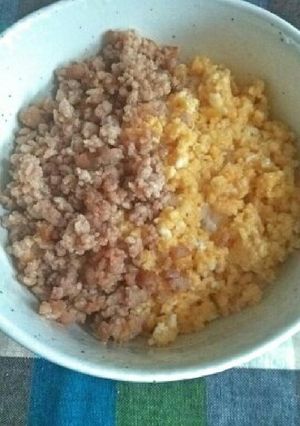 お弁当にも使える!!二色丼-レシピのメイン写真