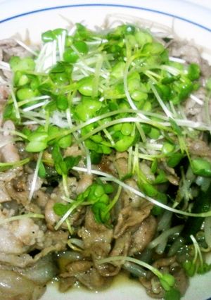 豚バラとニラもやしの塩炒め-レシピのメイン写真