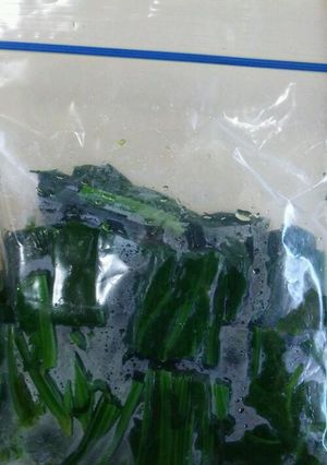 ほうれん草の保存方法-レシピのメイン写真